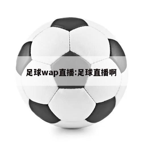 足球wap直播:足球直播啊