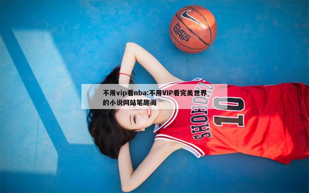 不用vip看nba:不用VIP看完美世界的小说网站笔趣阁