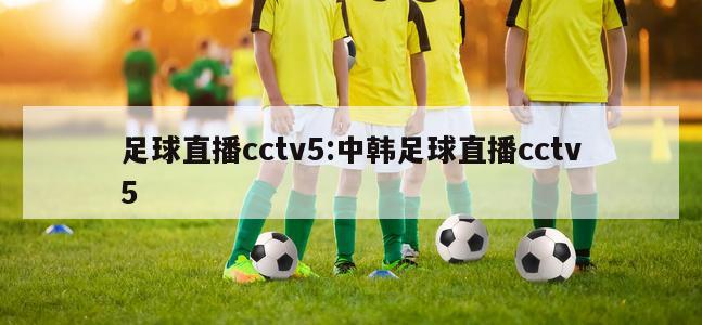 足球直播cctv5:中韩足球直播cctv5