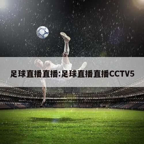 足球直播直播:足球直播直播CCTV5