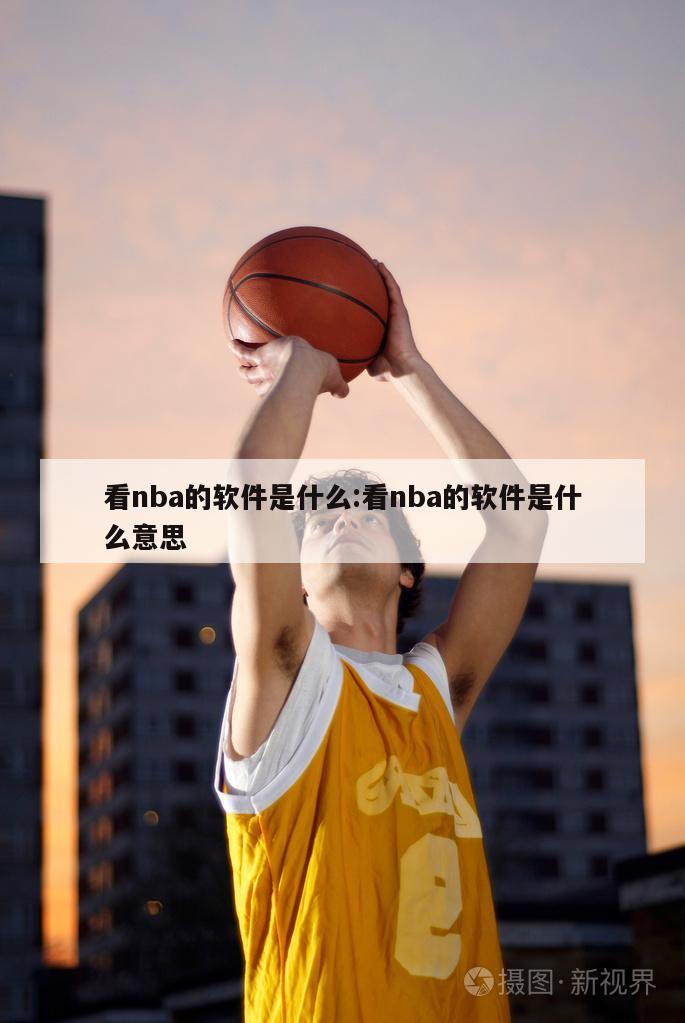 看nba的软件是什么:看nba的软件是什么意思