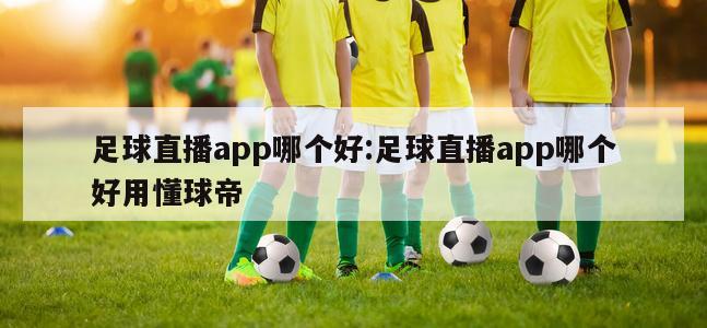 足球直播app哪个好:足球直播app哪个好用懂球帝