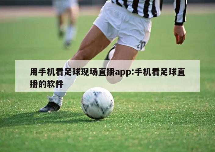 用手机看足球现场直播app:手机看足球直播的软件