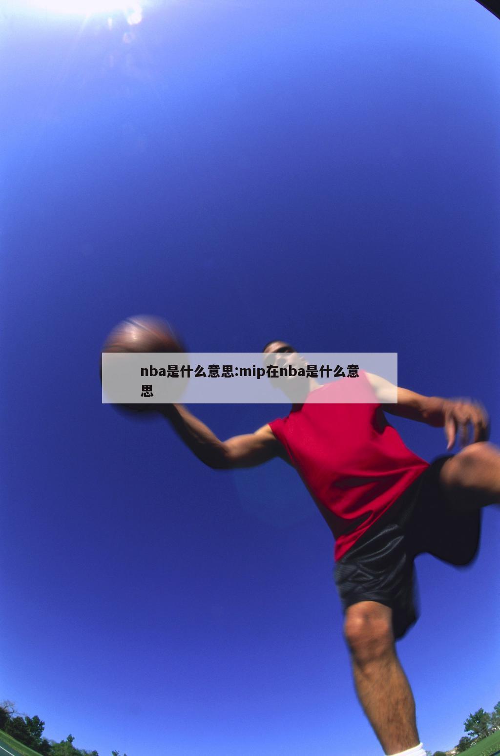 nba是什么意思:mip在nba是什么意思